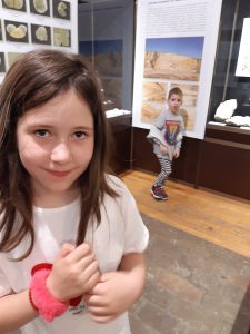 Holi Kids prirodnjački muzej